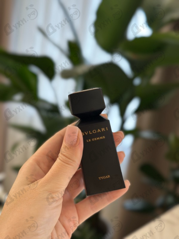 Духи Tygar от Bvlgari