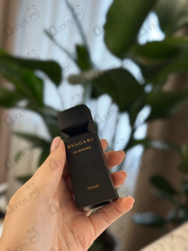 Купить Bvlgari Tygar