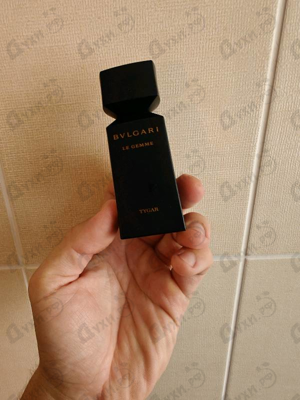 Купить Tygar от Bvlgari