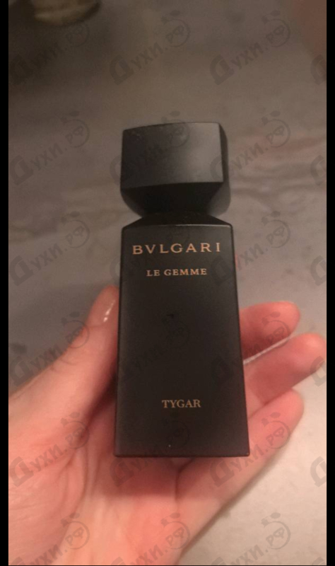 Купить Tygar от Bvlgari