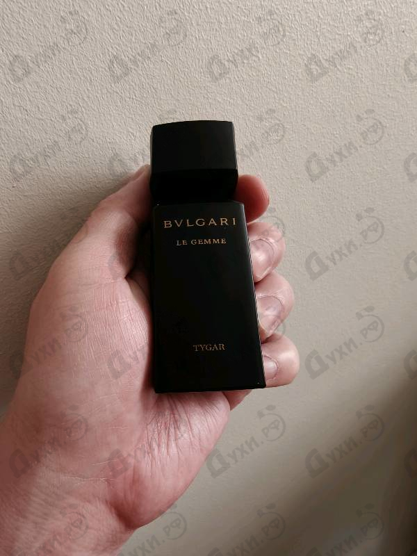 Купить Tygar от Bvlgari