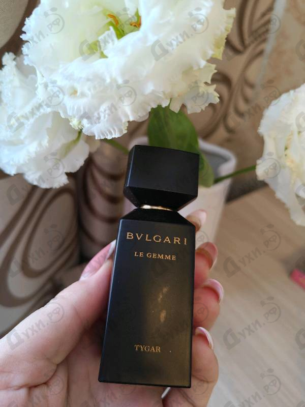 Купить Tygar от Bvlgari