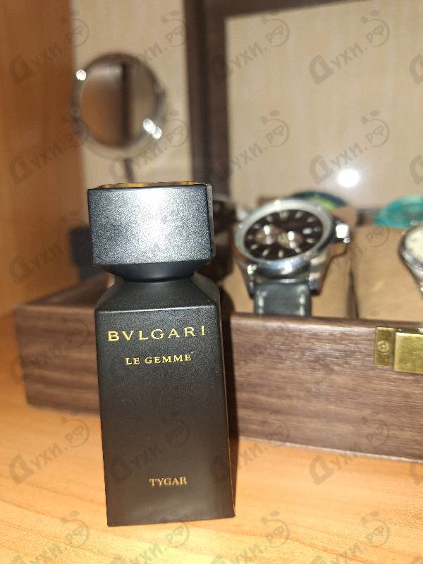 Купить Tygar от Bvlgari