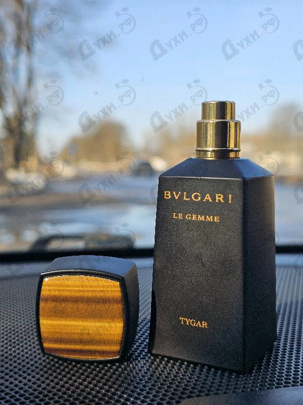Купить Bvlgari Tygar