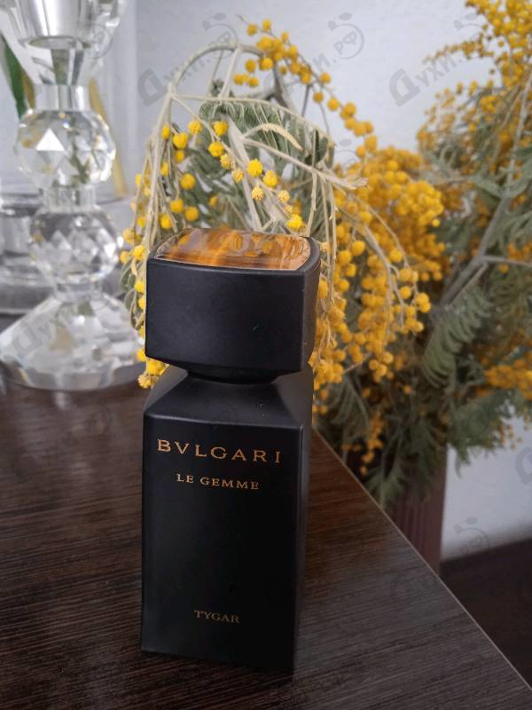 Купить Tygar от Bvlgari