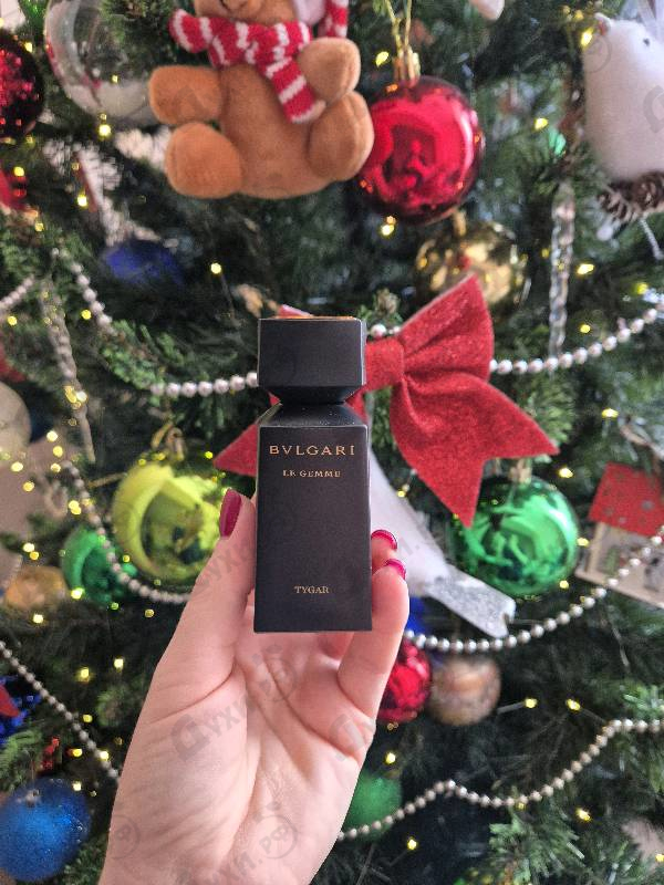 Купить Tygar от Bvlgari