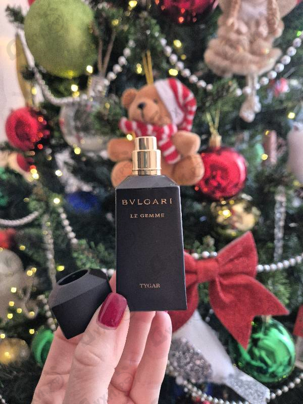 Купить Tygar от Bvlgari