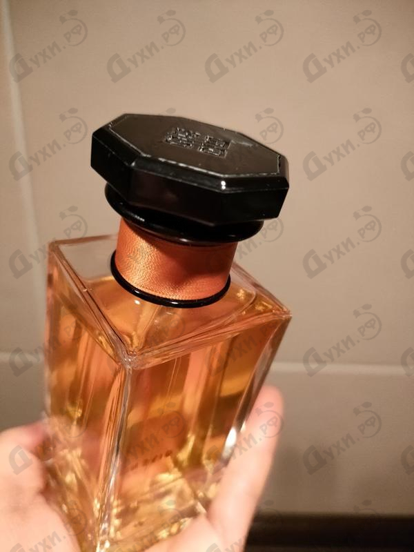 Отзывы Givenchy Immortelle Tribal