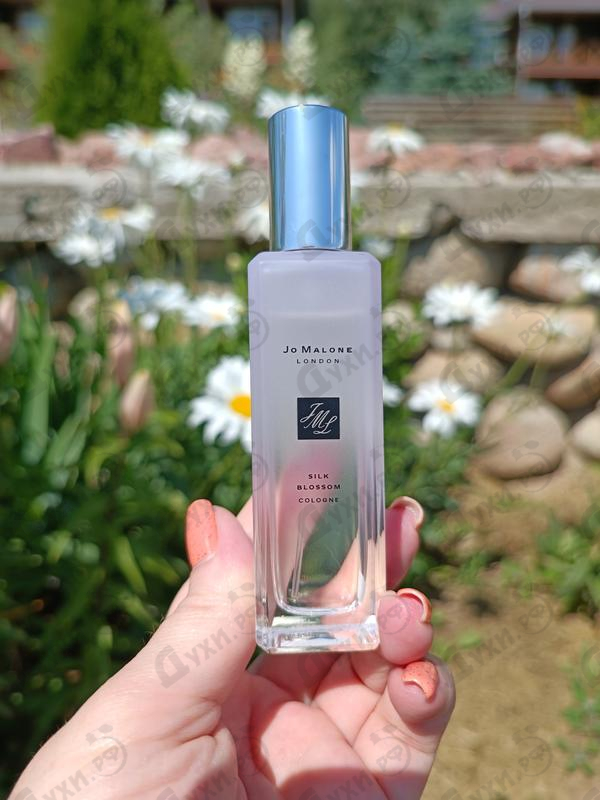 Парфюмерия Silk Blossom от Jo Malone