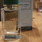 Отзывы Dolce & Gabbana Velvet Cypress
