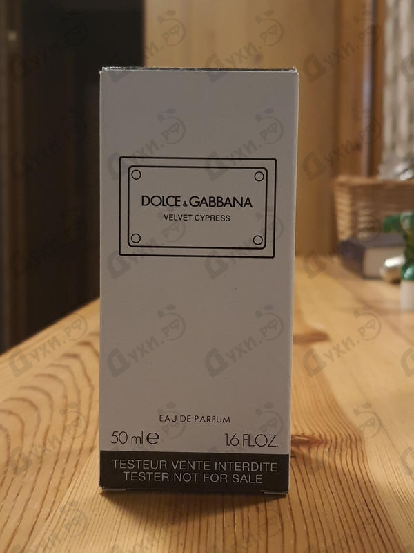 Отзывы Dolce & Gabbana Velvet Cypress