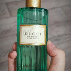 Духи Memoire D’une Odeur от Gucci