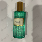 Отзывы Gucci Memoire D’une Odeur