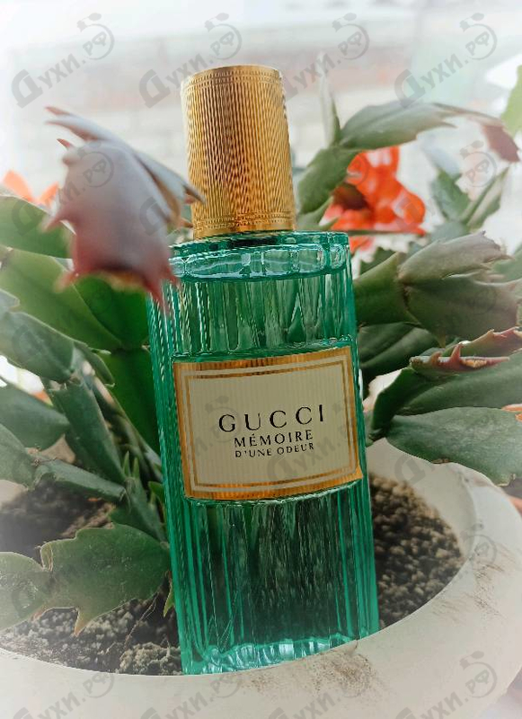 Отзывы Gucci Memoire D’une Odeur