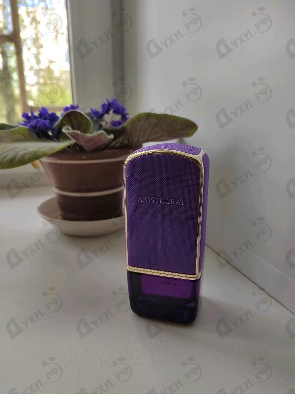 Купить Aristocrat от Ajmal