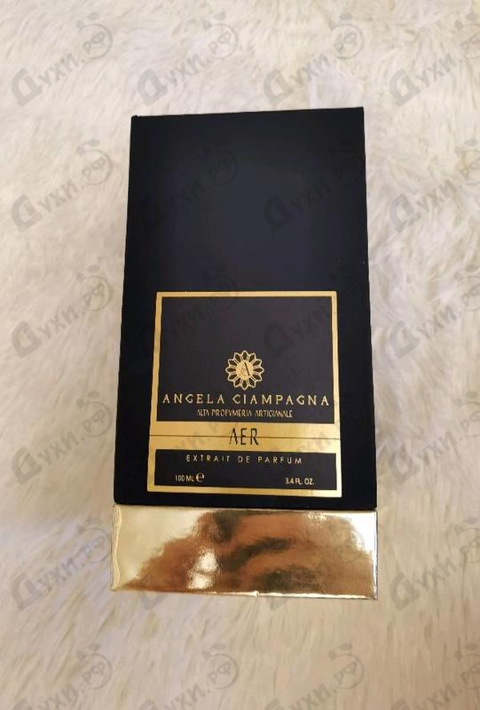 Купить Angela Ciampagna Aer