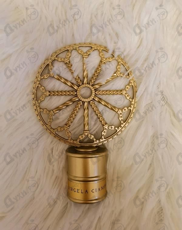 Парфюмерия Aer от Angela Ciampagna