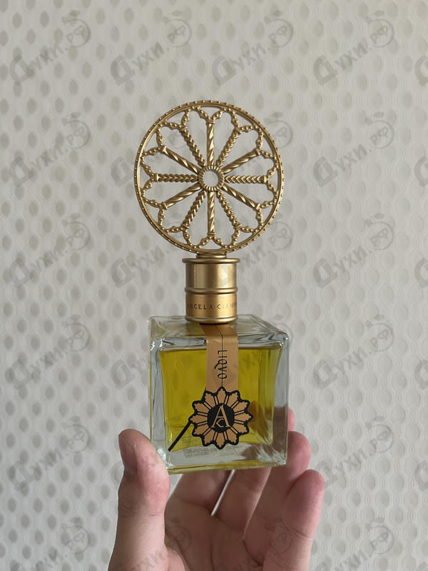 Купить Liquo от Angela Ciampagna