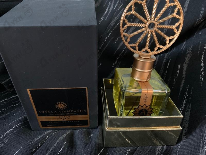 Духи Liquo от Angela Ciampagna