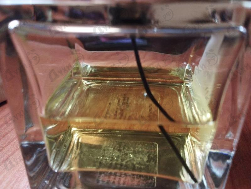 Купить Liquo от Angela Ciampagna