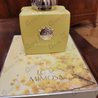 Отзывы Amouage Love Mimosa