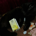 Отзывы Amouage Love Mimosa