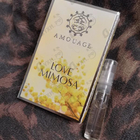 Отзывы Amouage Love Mimosa