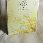 Духи Love Mimosa от Amouage