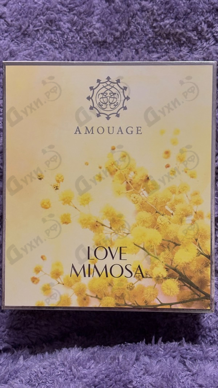 Купить Love Mimosa от Amouage