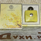 Духи Love Mimosa от Amouage