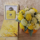 Отзывы Amouage Love Mimosa