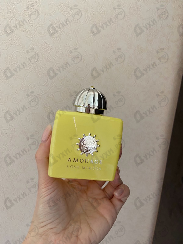 Купить Love Mimosa от Amouage