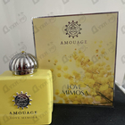 Духи Love Mimosa от Amouage