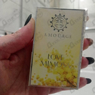 Духи Love Mimosa от Amouage