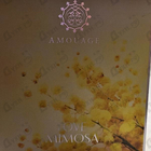 Парфюм Amouage Love Mimosa