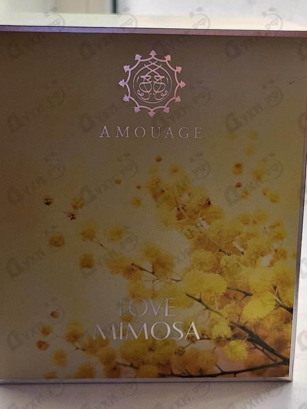 Парфюмерия Love Mimosa от Amouage