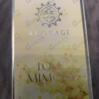 Отзывы Amouage Love Mimosa