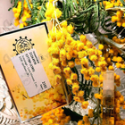 Отзывы Amouage Love Mimosa
