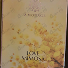 Духи Love Mimosa от Amouage
