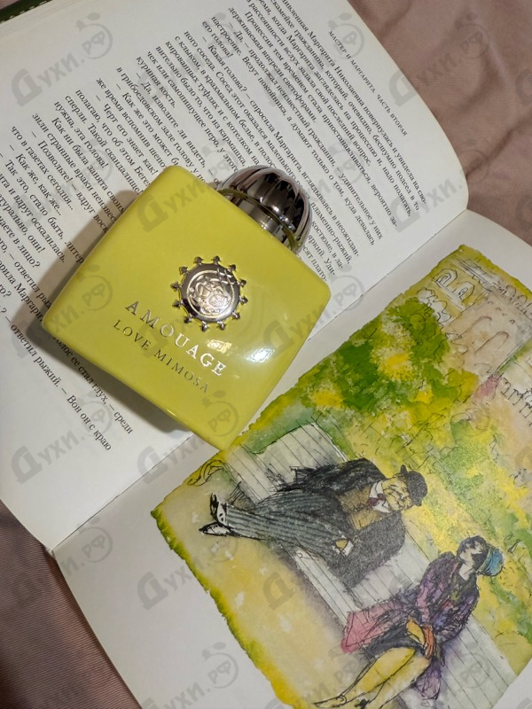 Купить Love Mimosa от Amouage