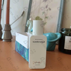 Отзыв 27 87 Wandervogel