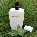 Отзывы 27 87 Wandervogel