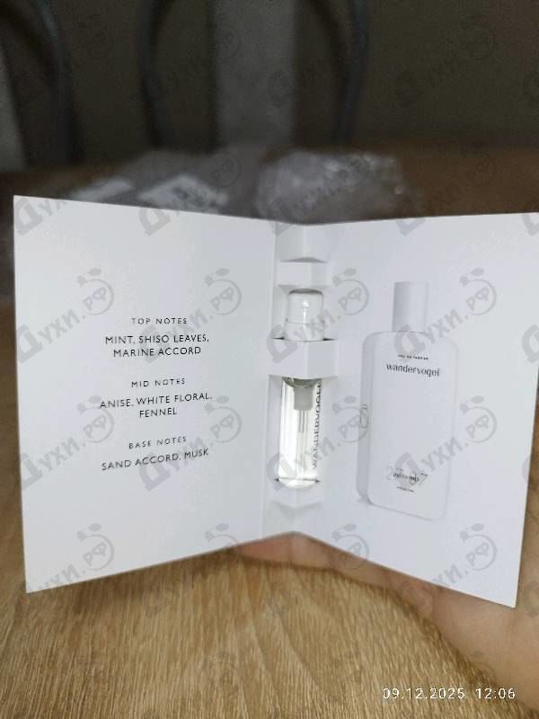 Купить Wandervogel от 27 87