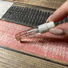 Отзыв 27 87 Wandervogel