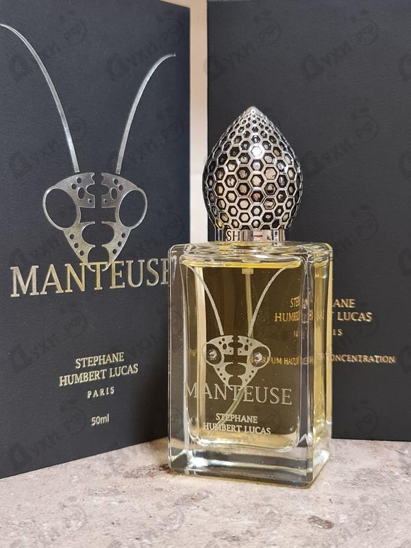 Купить Stephane Humbert Lucas 777 Manteuse