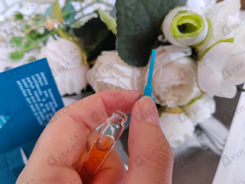 Купить Jasmin Dentelle от Sud Pacifique