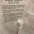 Отзыв Guerlain Mon Guerlain Bloom Of Rose