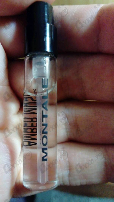 Купить Montale Amber Musk
