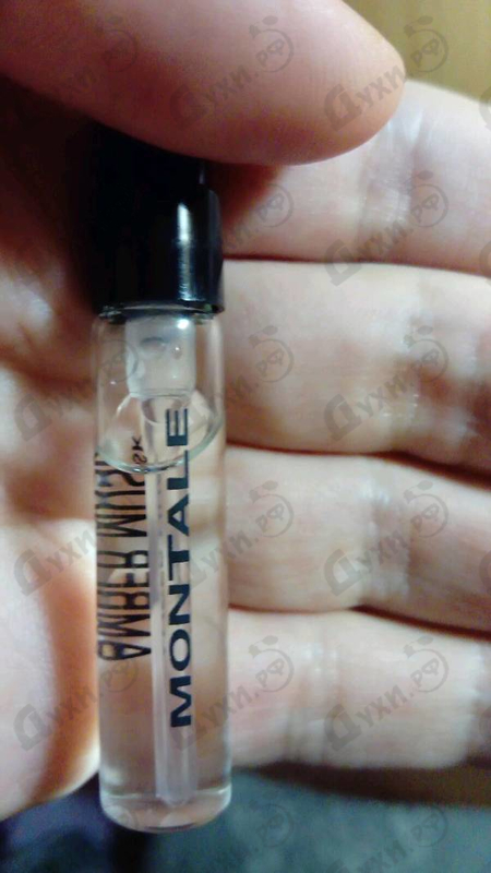 Купить Amber Musk от Montale