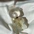 Парфюмерия Moschino Toy 2